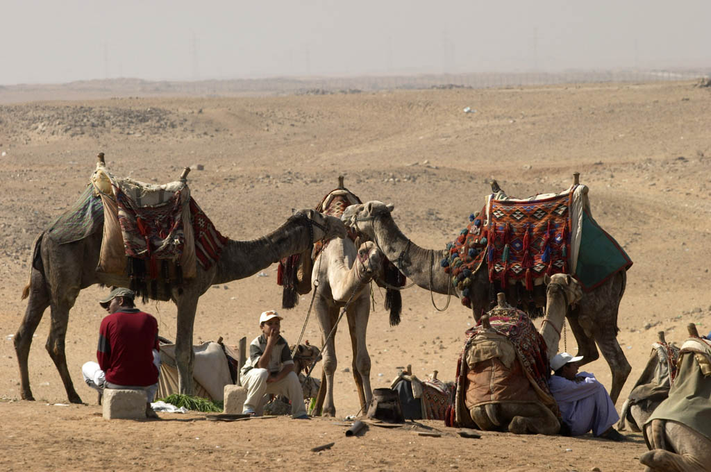 Egitto,piana di giza 2005