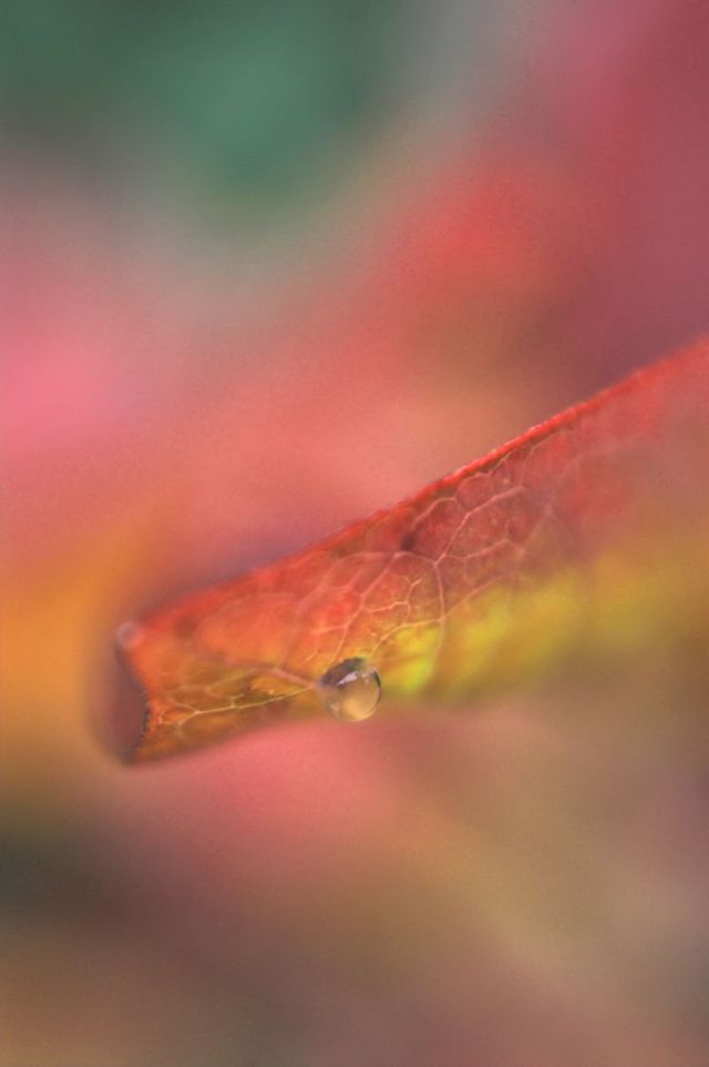 fragilit� di un attimo