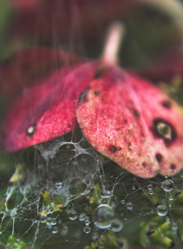 per luciano e antonio