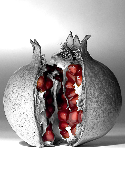 melograno artistico contrastato