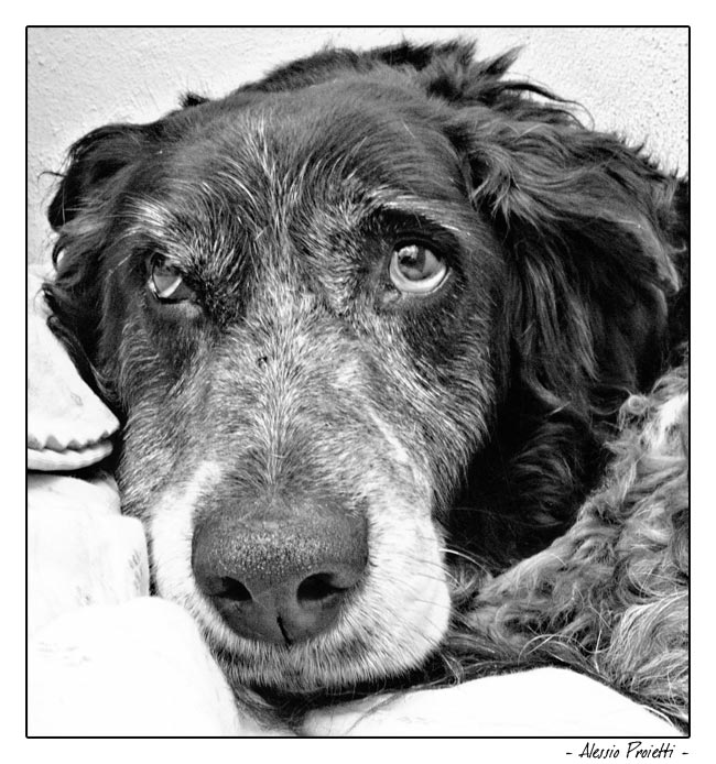 Non mi abbandonare....