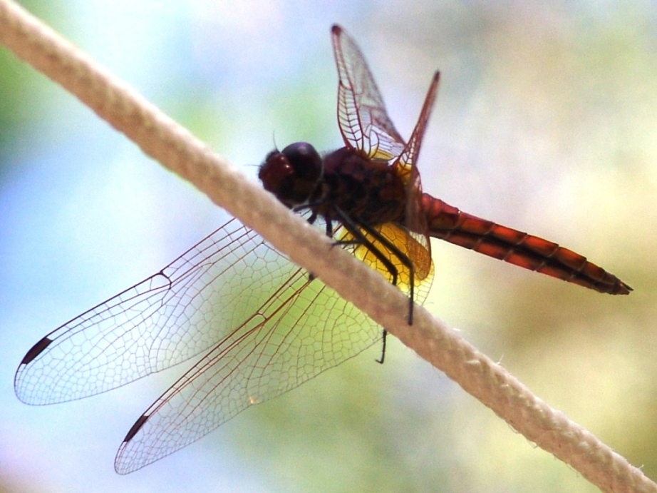 Incontro mooolto ravvicinato - Parte1