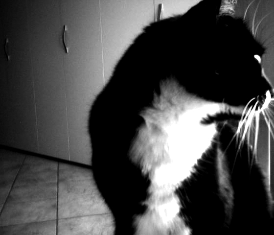 la mia tata....tutta nera!