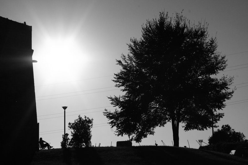 [ d o g v i l l e ] aspettando Godot