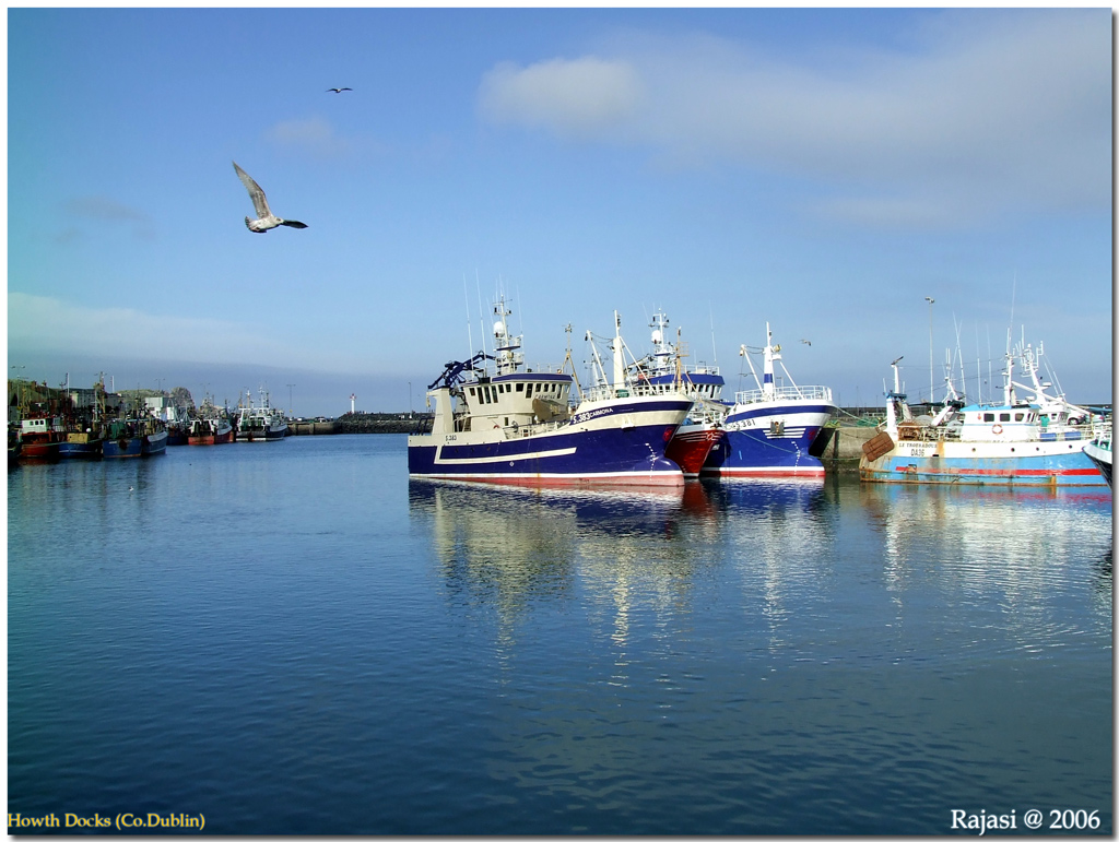 Howth Docks Co. Dublin - Sep 2006