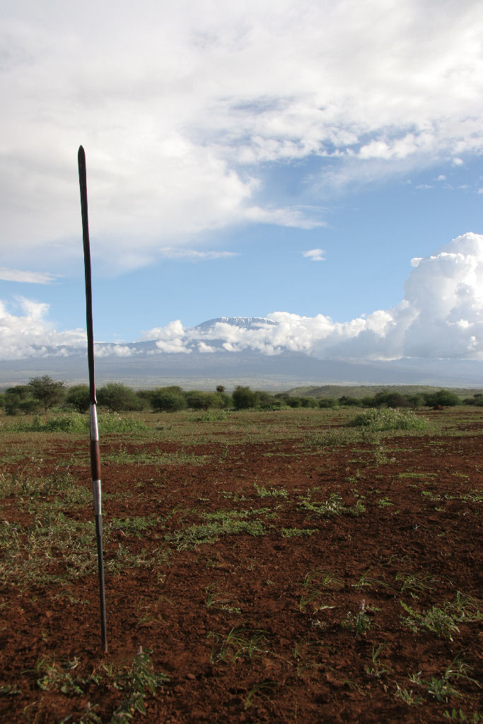 Kenia - Spear and Kilimangiaro