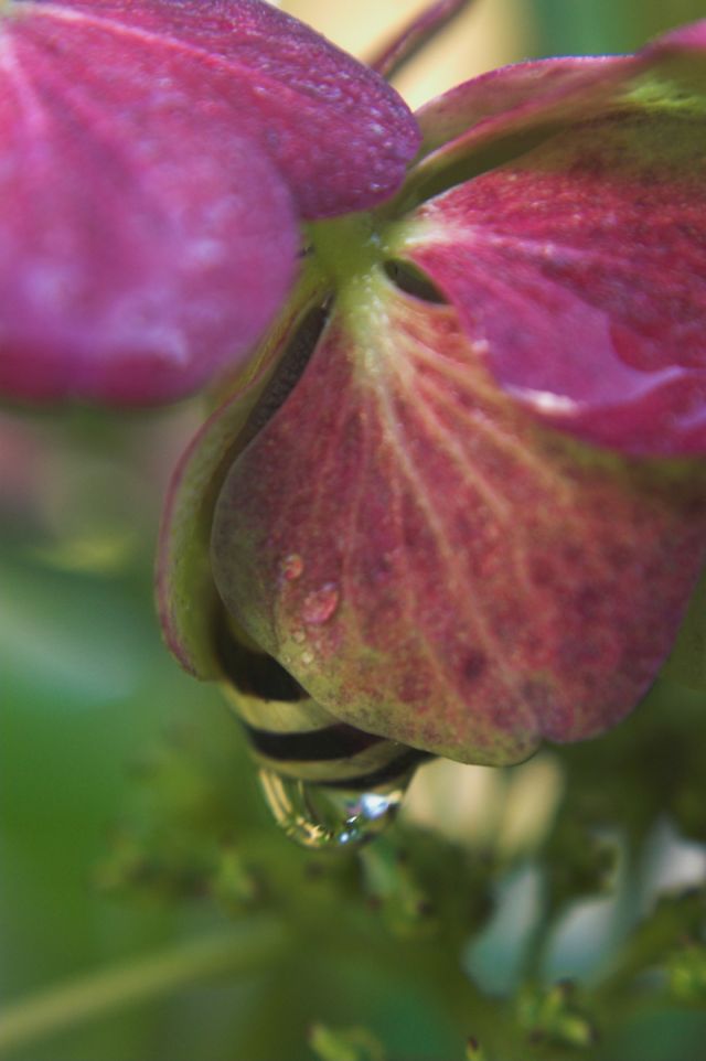 ...questa volta sicuro non mi trova nessuno!