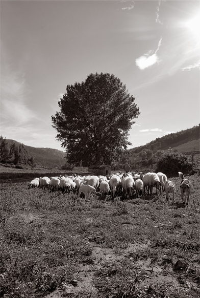 paesaggio naturalismo