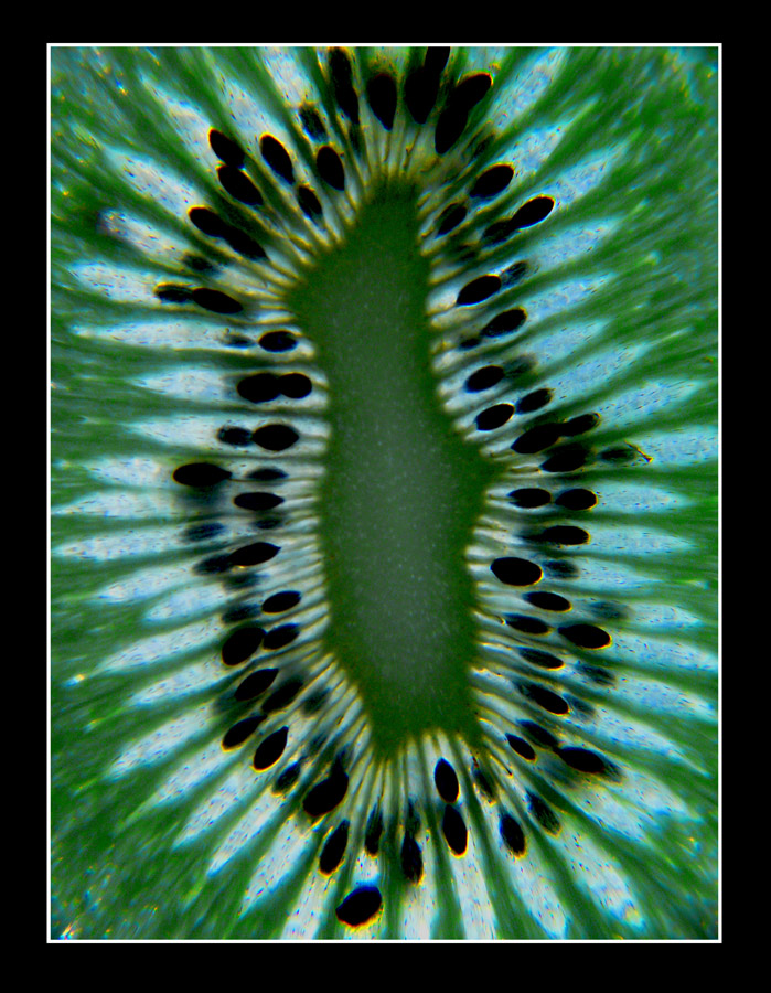 kiwi