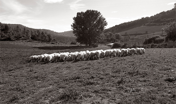 paesaggio naturalistico2