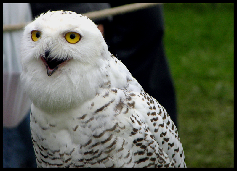 E 'bbasta con 'ste foto!!!!