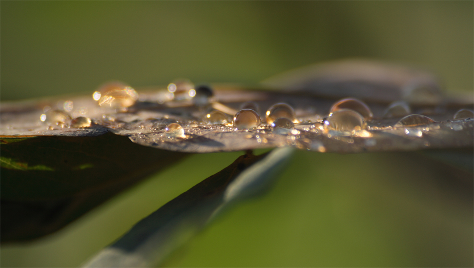 Quel che resta della pioggia