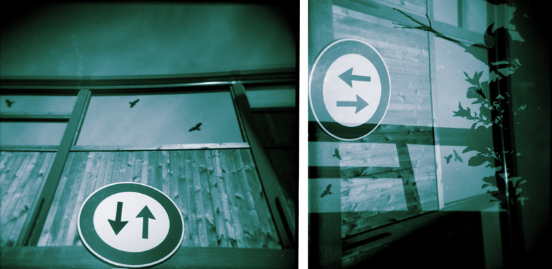 Traiettorie ortogonali