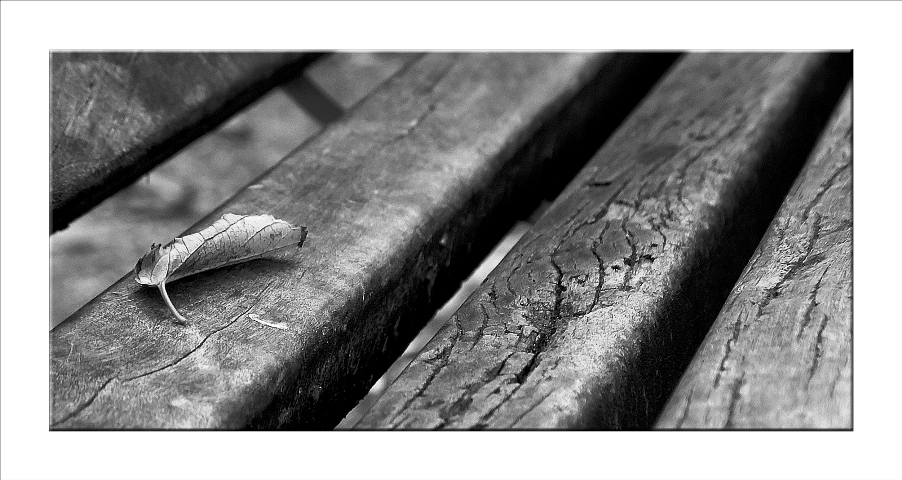 Autunno...in panchina