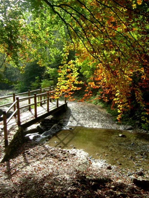 i colori dell'autunno