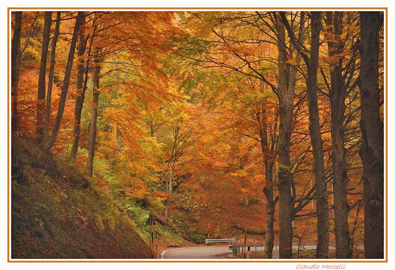 La strada tra i colori