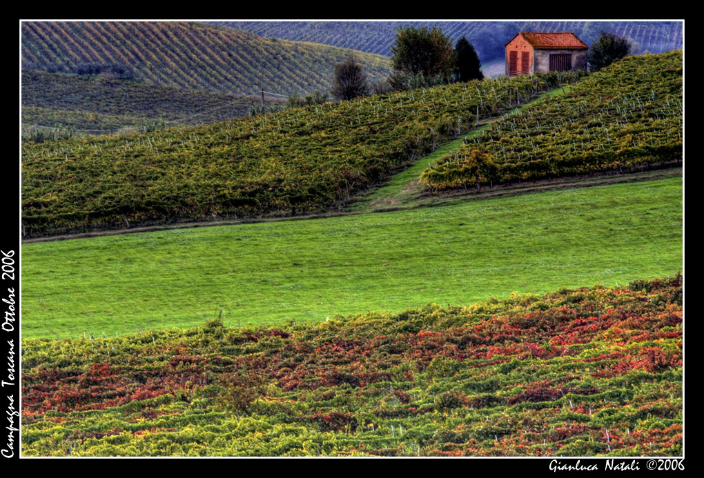 Tra Cerreto... e Vinci...