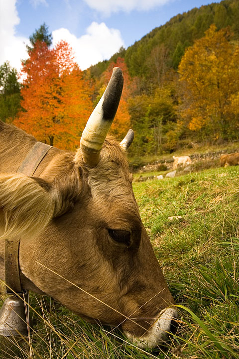 autunno in montagna_1