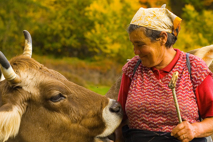 autunno in montagna_3