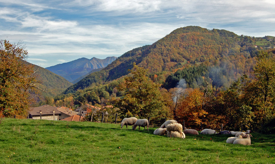 " bucolica autunnale "