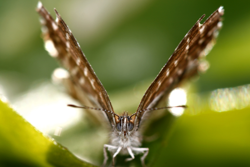 si parte..pistaaaaa..