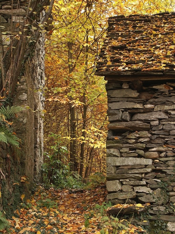 I colori dell'autunno