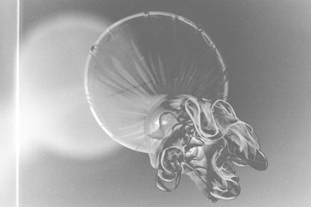 >il mare sul mio letto>>>