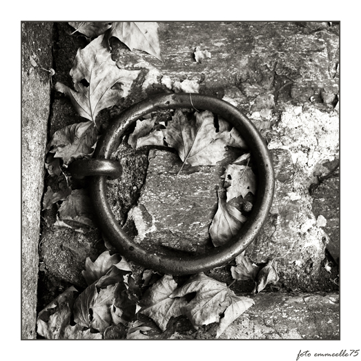 quadratura del cerchio