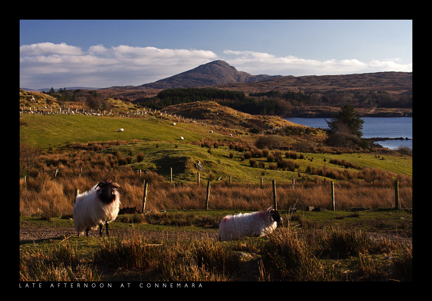 Afternoon at Connemara