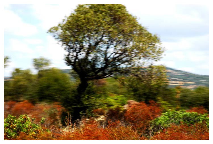 Panning paesaggistico