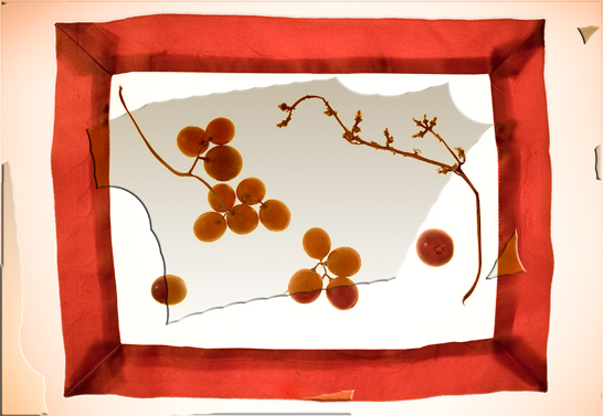 tra arte e fotografia