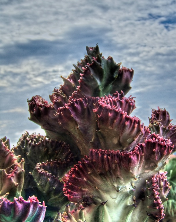 Impervi sentieri verso il cielo