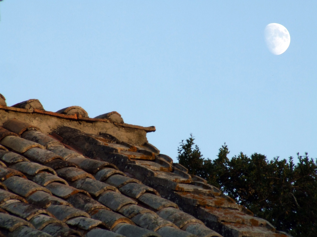 una luna sul tetto che scotta...