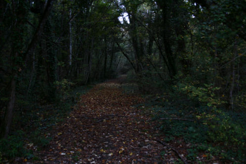 Passeggiata di Villa Le Maschere Mugello