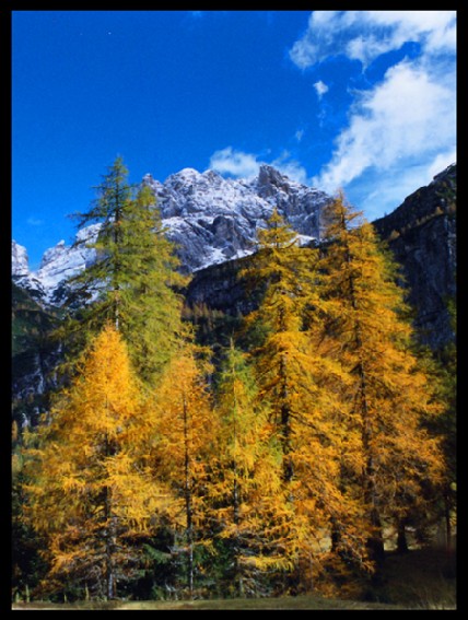 Autunno in Dolomiti