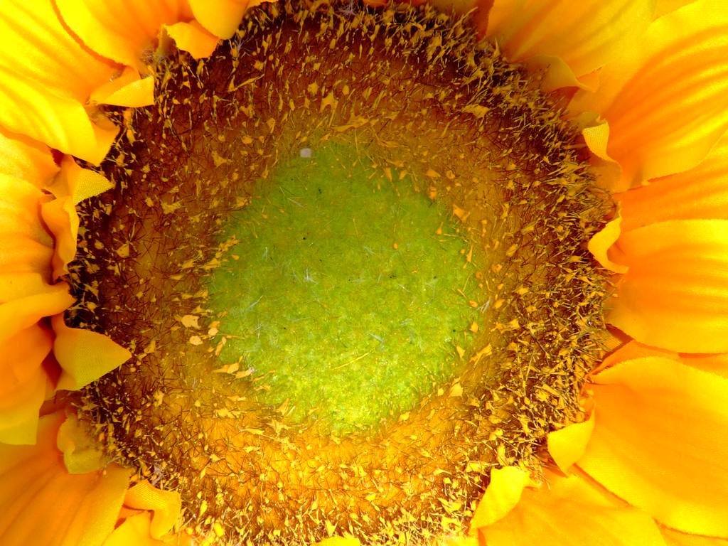 L'occhio della natura