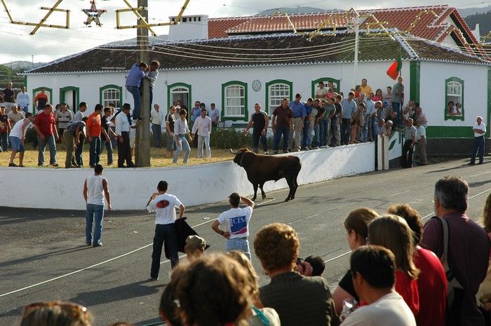 Venite gi� se avete coraggio...
