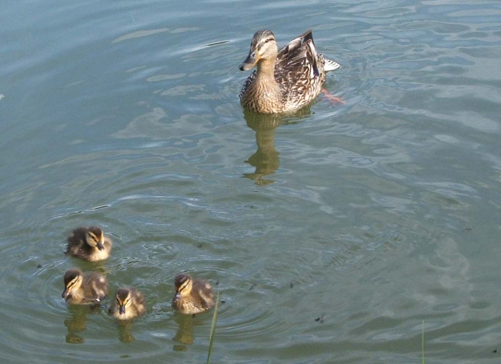 Ritratto di famiglia