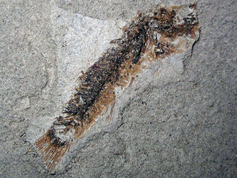 dedicata a G.Piccoli & Sandro214"la dove una volta c'era il mare"