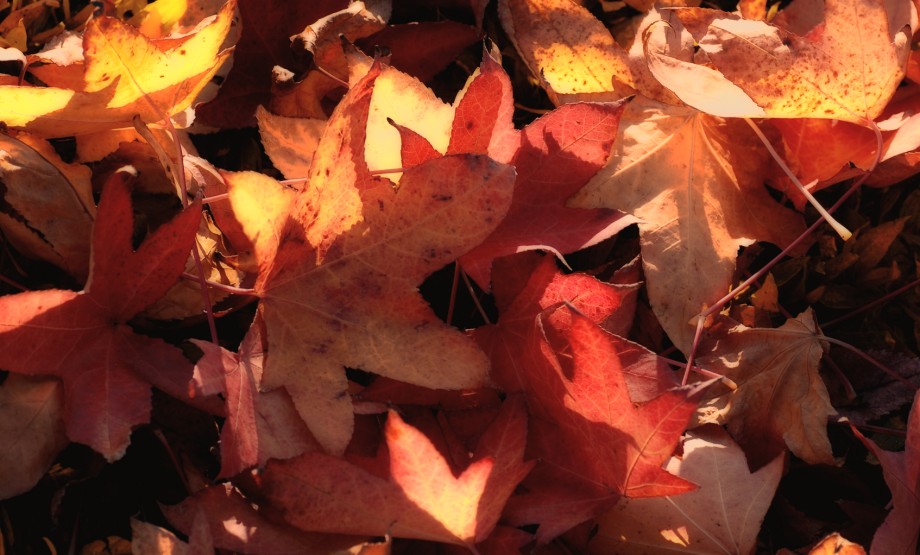autunno -