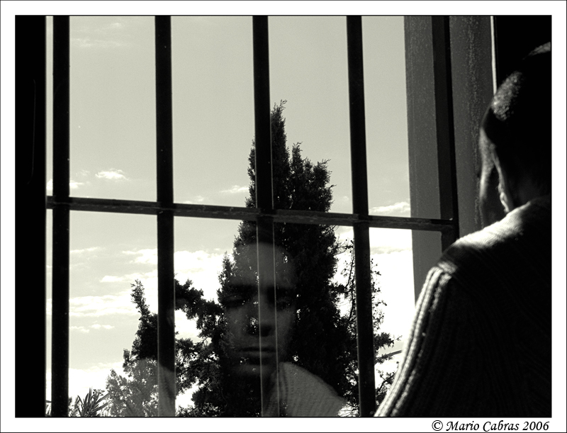 Sognando la libert�