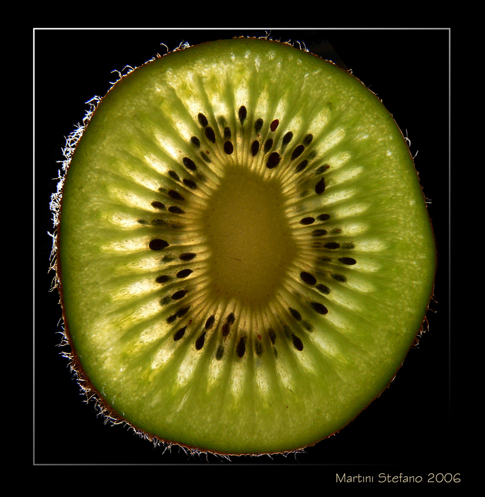 KIWI 2