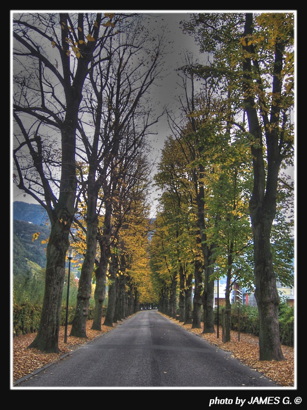 Viale Autunnale