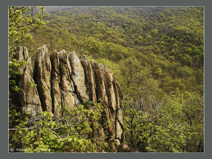 Suiseki naturale     -   12 aprile 2004