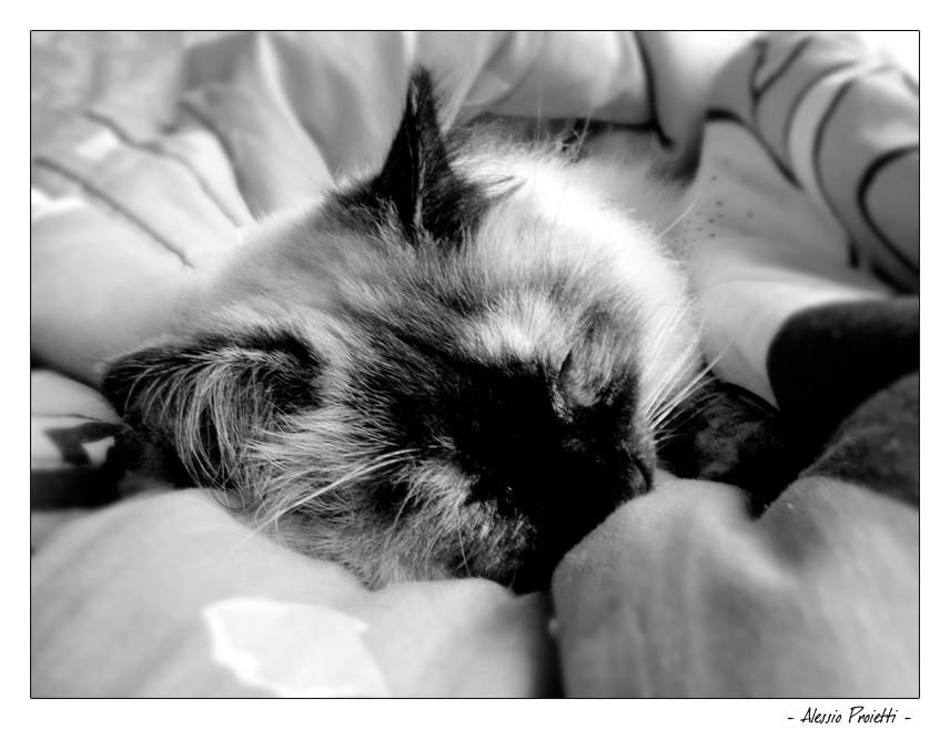 Bella ed i primi freddi