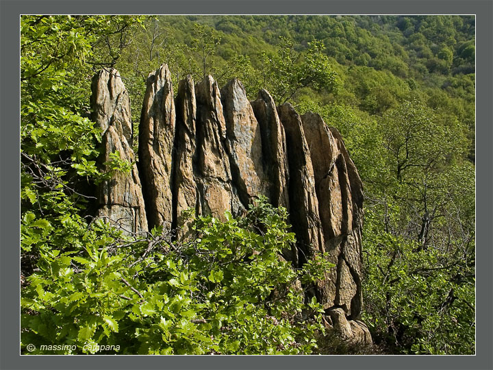 Suiseki naturale     -   12 aprile 2004
