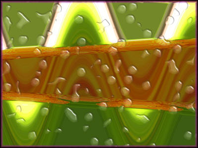 the linfa of the life