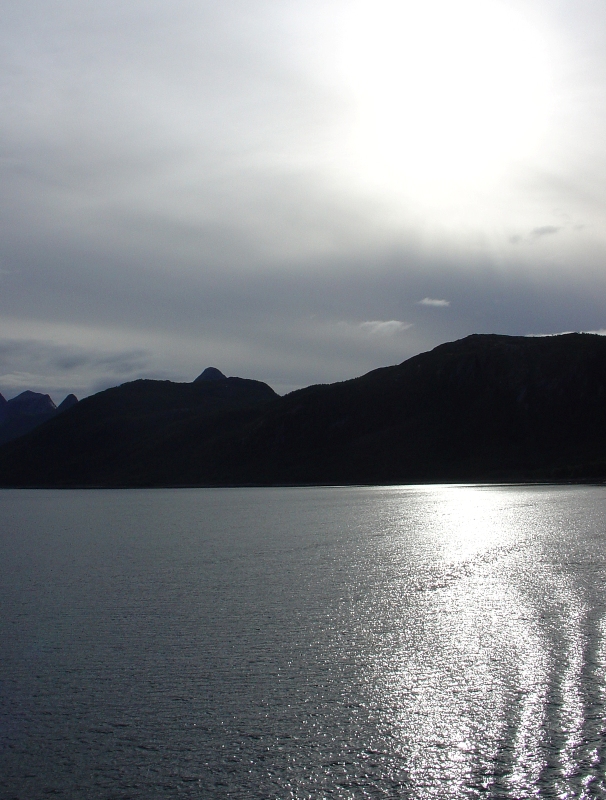 Swimming in a silver world