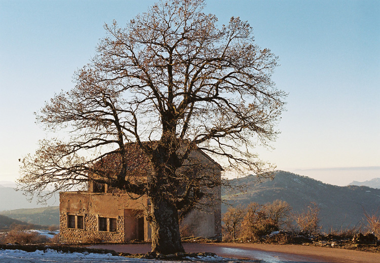 Accarezzati dal sole