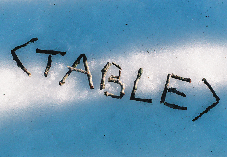 Tra natura ed informatica